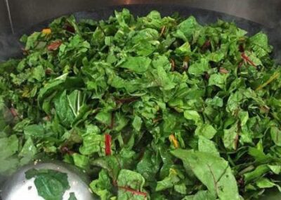 Beet Greens