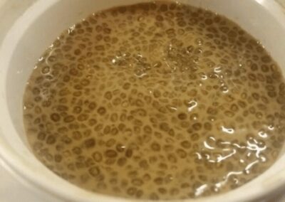 Cappuccino Chia Pudding