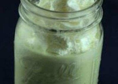 Copycat Shamrock Shake