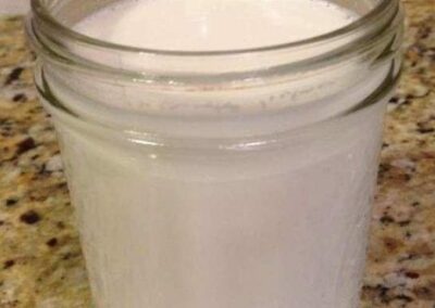 Homemade Coconut Milk