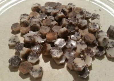 Mocha Chips (*ONLY on Coconut Oil Day in P2)